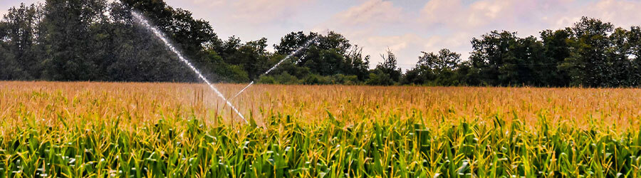 Benefícios das soluções de irrigação no meio rural