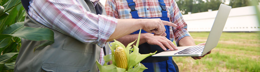 Benefícios do acompanhamento técnico rural 