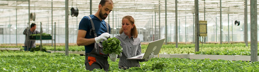 O que é gerenciamento de projetos agrícolas